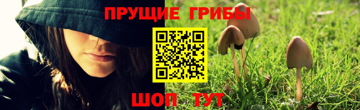 Псилоцибиновые грибы мухоморы Гагарин